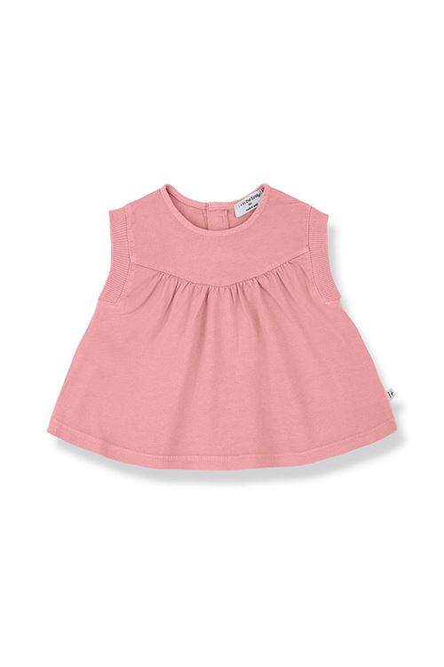  1+ in the family | ARIANYSTRAWBERRY